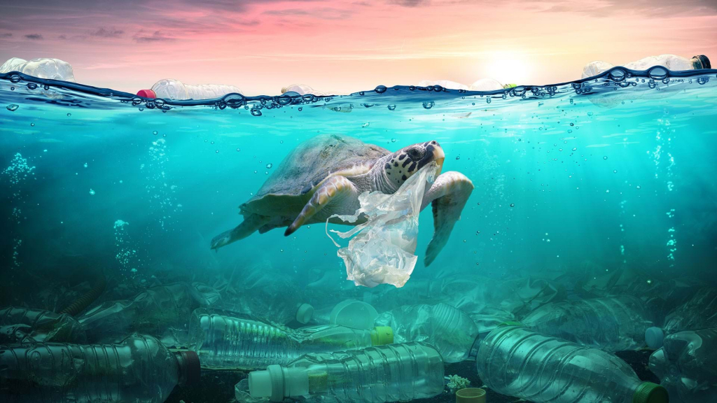 Bioplasticul care se dizolvă în apă ar putea combate criza globală a poluării