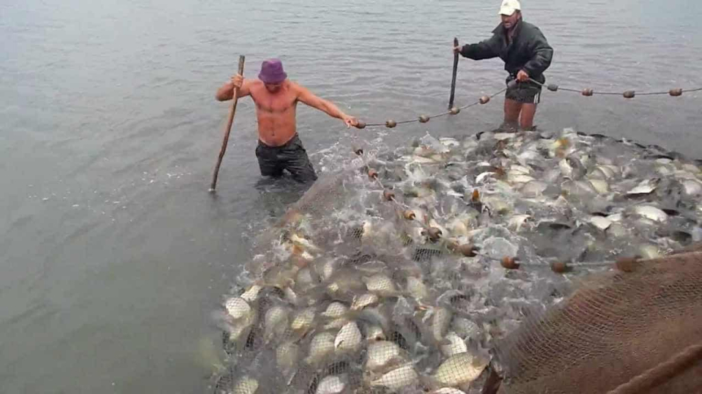 Hoţii au îngropat în fundul curţii peştii furaţi. Cu tot cu năvoade