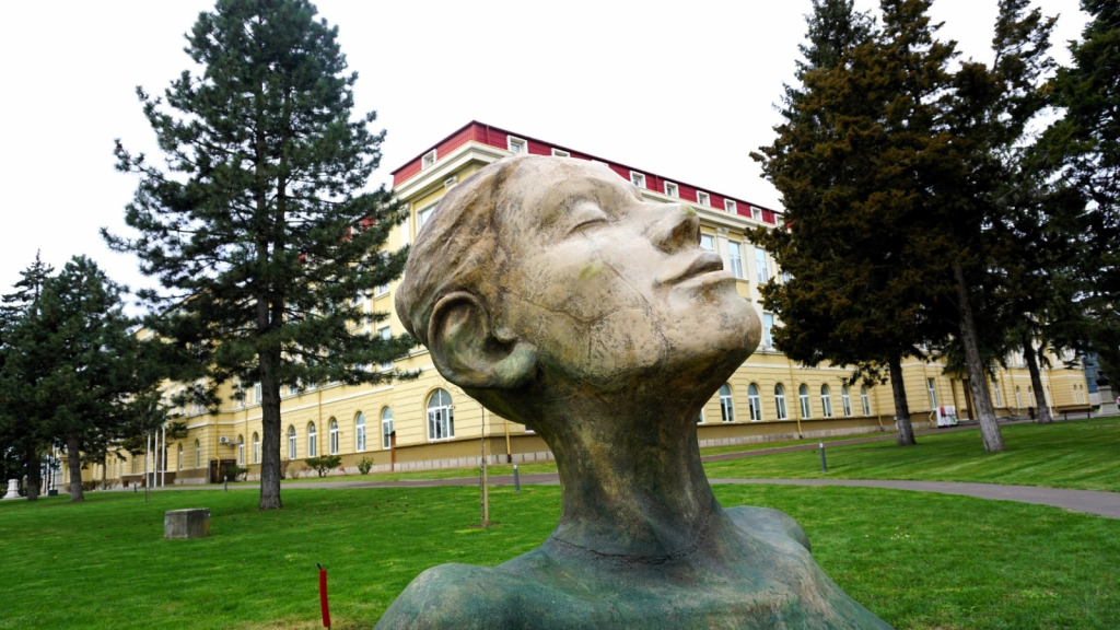 Regina Nordului luminează campusul USV Iași:  artă și tehnologie într-o sculptură spectaculoasă