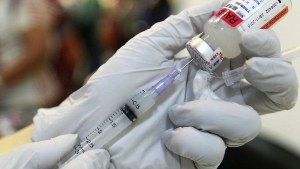 Trei focare de rabie la Iași. Zeci de persoane vaccinate în regim de urgenţă