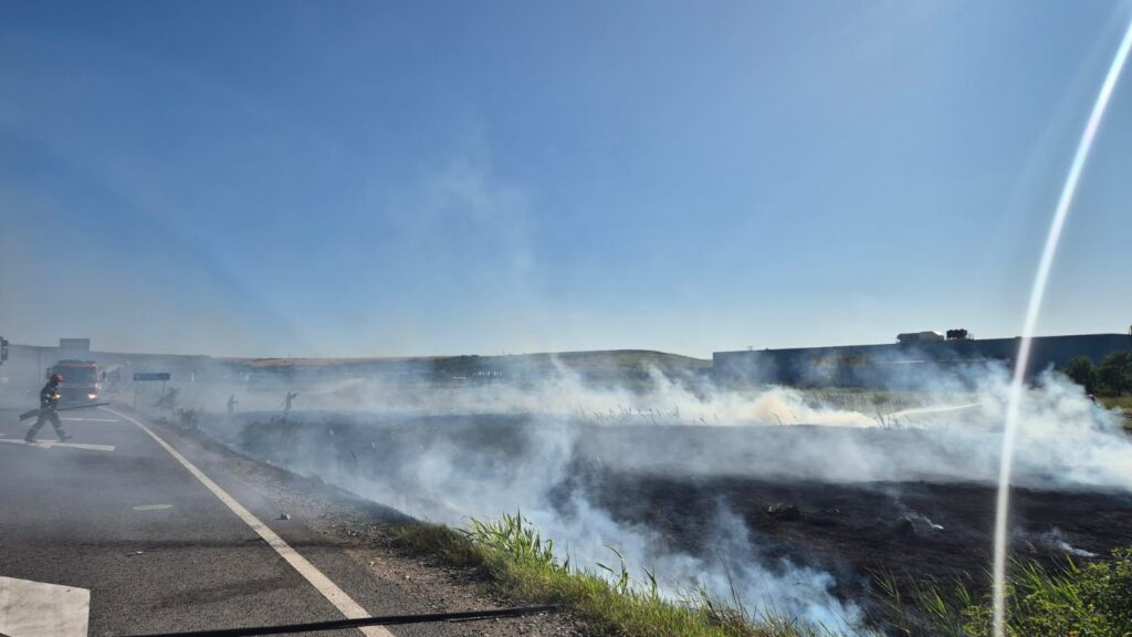 Incendiu de vegetație provocat de un ieșean neglijent