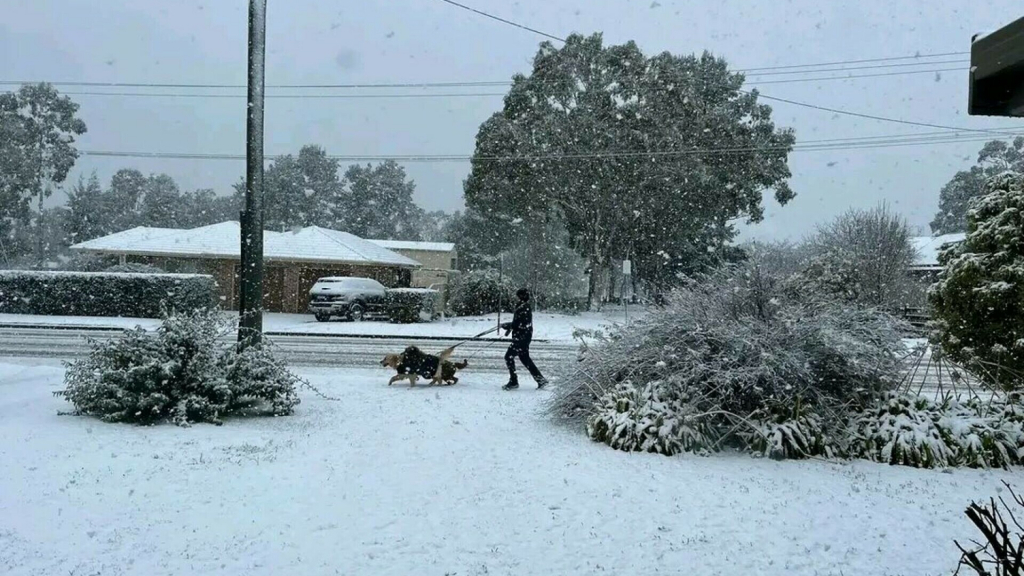 Australia, sub asediul zăpezii. Cel mai sever episod nival din ultimele decenii paralizează orașe întregi