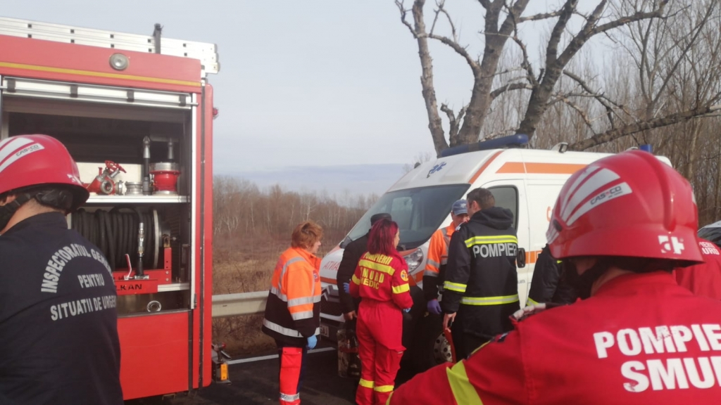 Accident cu şapte victime la Albiţa