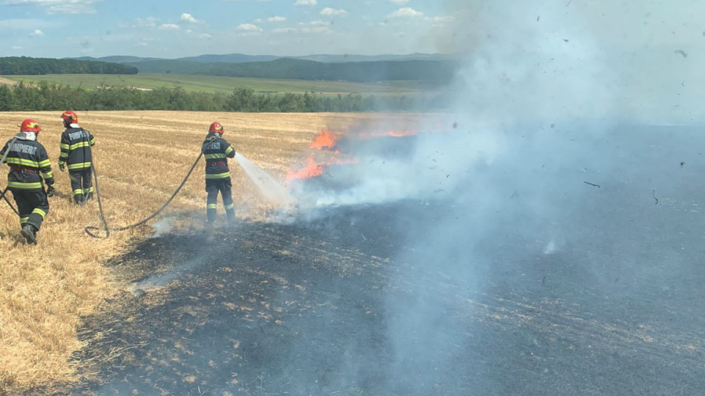 Peste 75 de hectare de vegetație au fost distruse de un incendiu la Bacău
