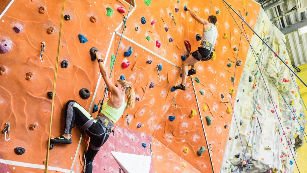 Care sunt diferențele dintre alpinism și escaladă?