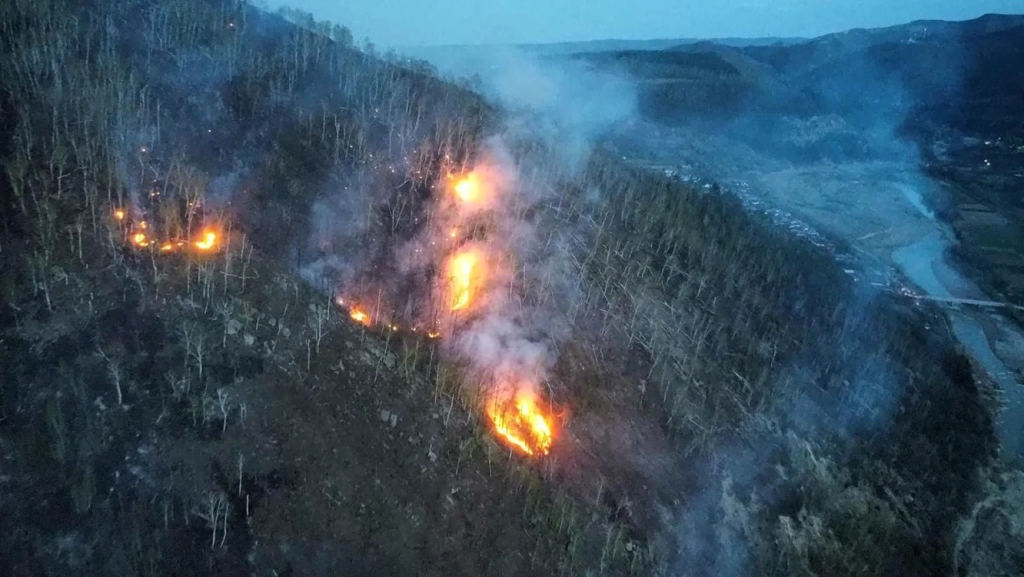Incendiu devastator în pădurile de la Târgu Ocna și Dofteana. Focul arde de patru zile și s-a întins deja pe 80 de hectare