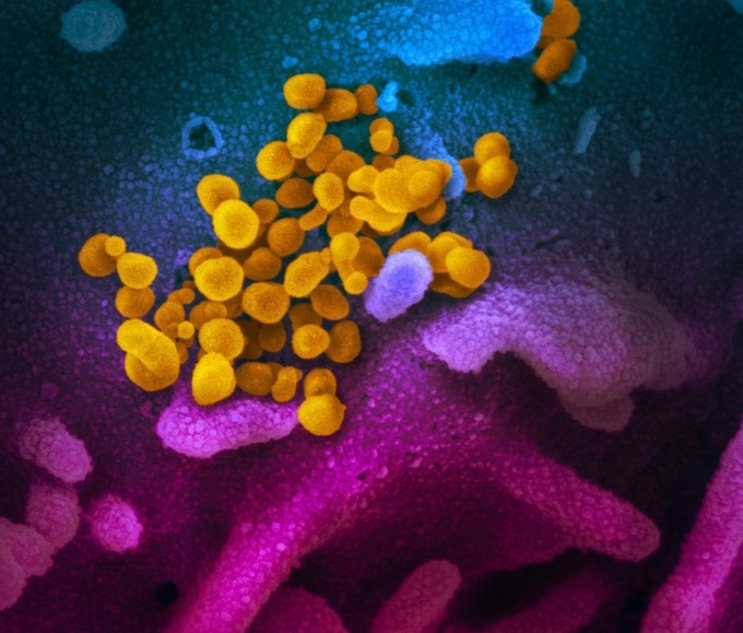 ALERTĂ Încă 4 cazuri de îmbolnăvire la Constanța! 68 de români infectați cu coronavirus