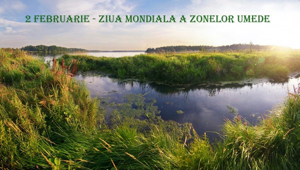 Ziua mondială a zonelor umede