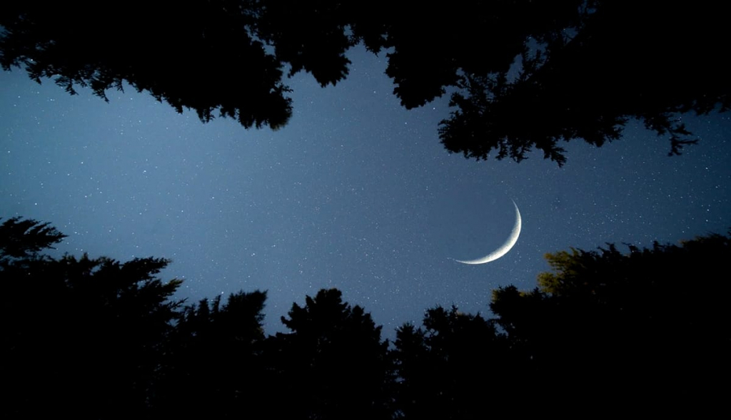 25 iunie, luna Nouă în Rac