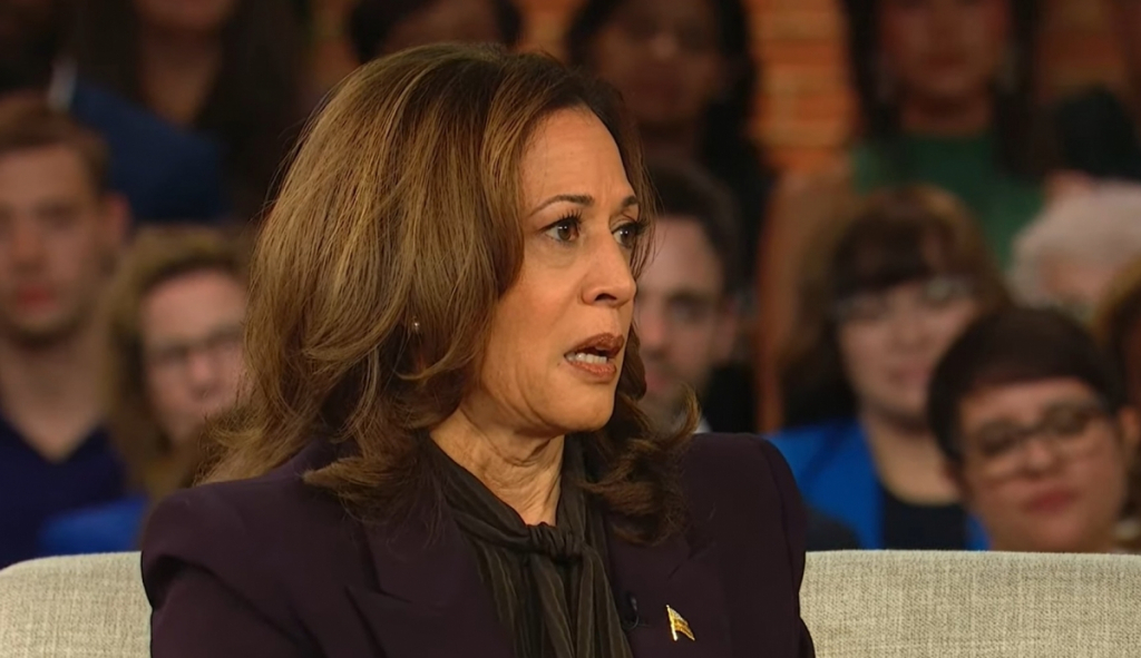 Secretele războiului din Ucraina: Kamala Harris l-ar fi îndemnat pe Zelenski să-și desemneze un succesor pentru cazul în care va fi ucis sau capturat