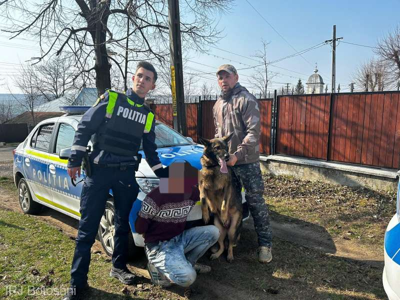 Tâlhari prinși cu ajutorul câinelui de urmă