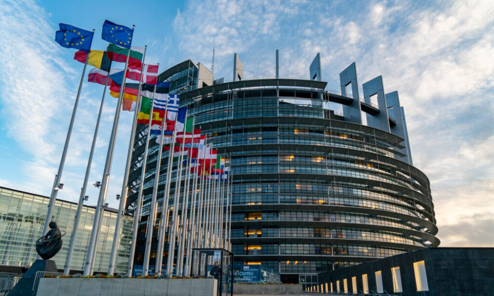 Gheorghe Piperea:Nimeni nu vorbește despre ceea ce s-a întâmplat în mod real la Strasbourg