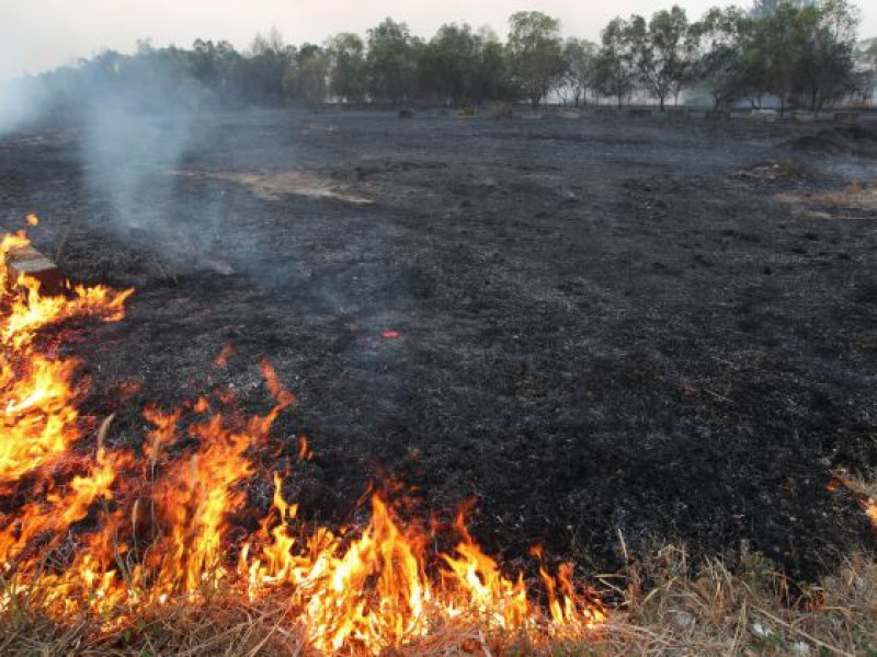 Incendiu pe 10 hectare de teren la Dofteana