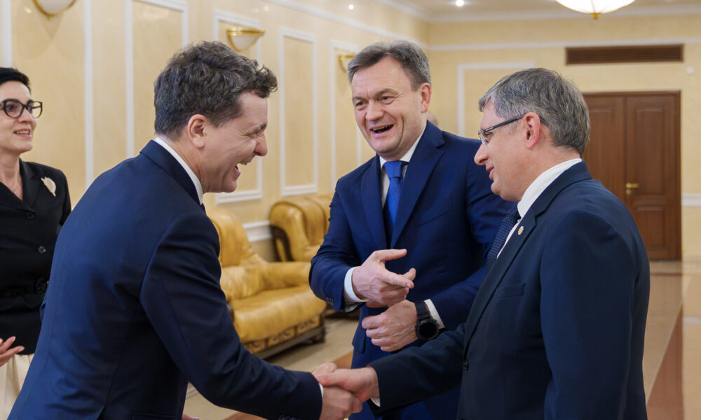 Cornel Nistorescu:Ce înseamnă un președinte slab?