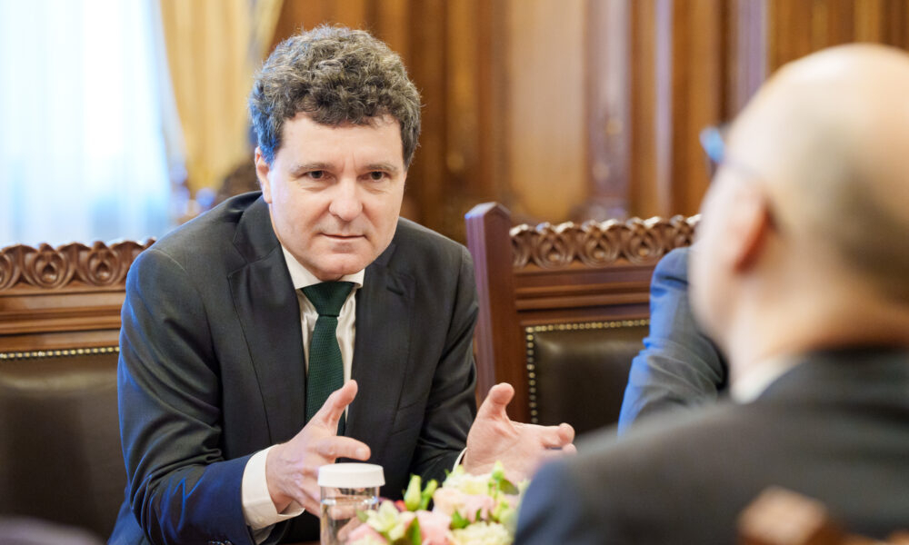 Cornel Nistorescu:Nicușor Dan – zile negre