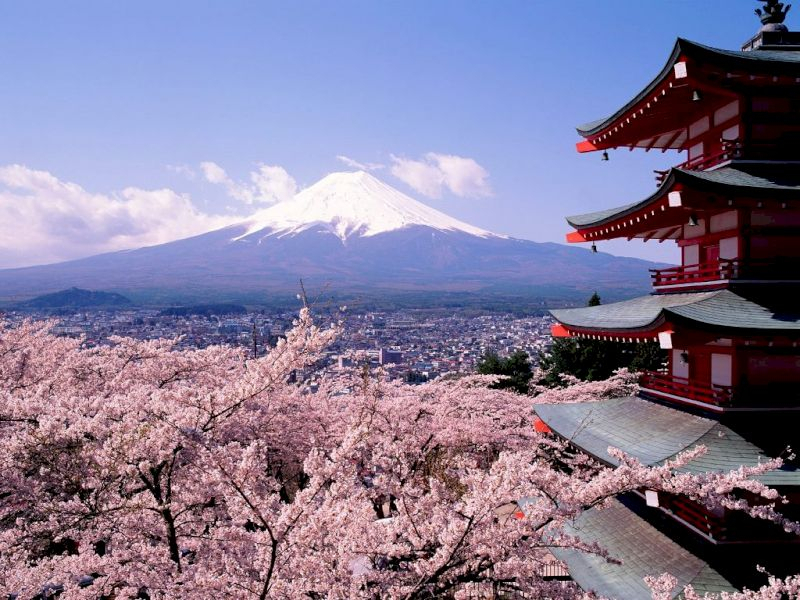 GALERIE FOTO - Cele mai frumoase imagini cu cireșii înfloriți din Japonia. În acest an copacii au înflorit mai devreme