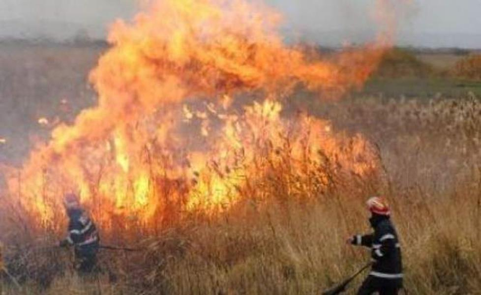 Incendiile au distrus peste 26 de hectare de teren în Vrancea