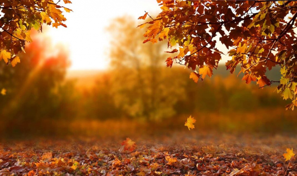 Temperaturi de vară la final de octombrie
