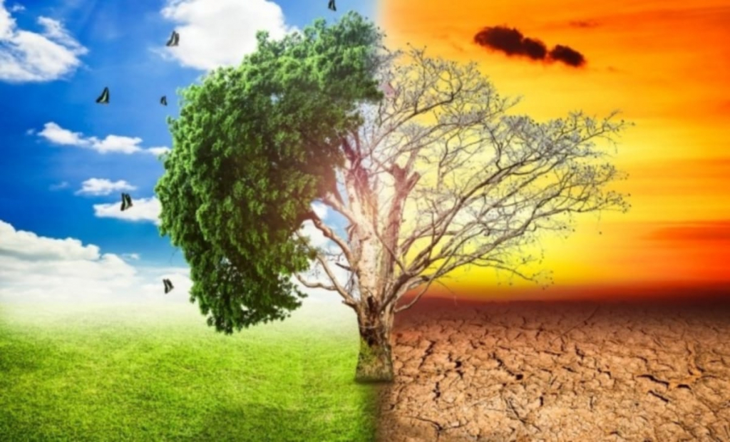 Industria modei în fața schimbărilor climatice: Cum noile reglementări privind afirmațiile de mediu pot schimba regulile jocului