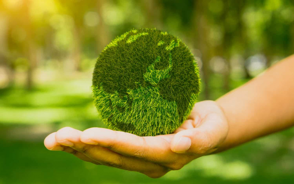   Tinerii declanșează Revoluția verde