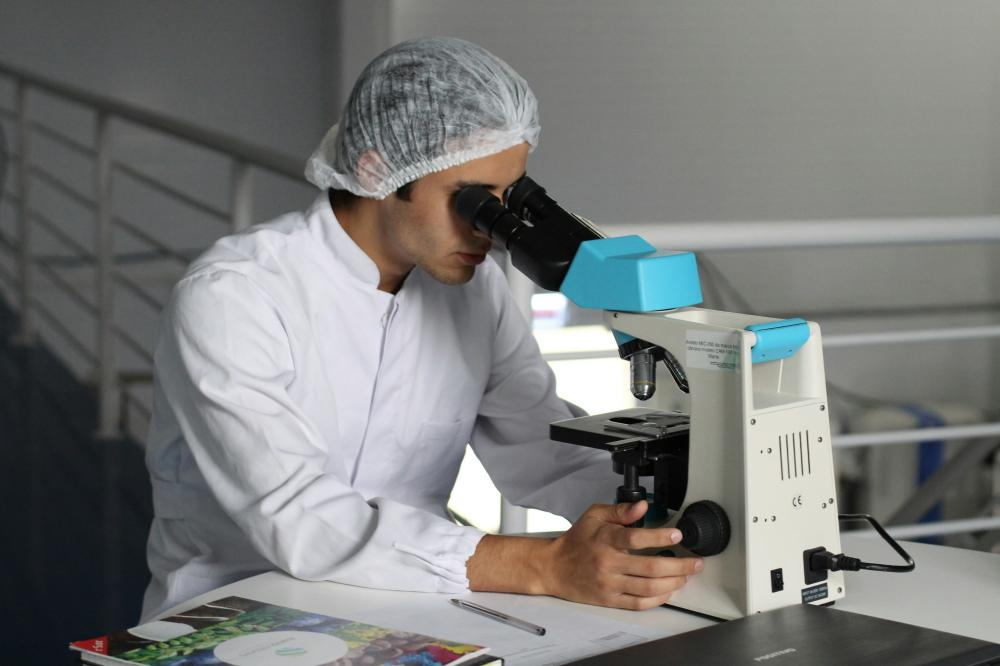 Chonluten Peptide: A Compound for Research Across Chemical Domains
