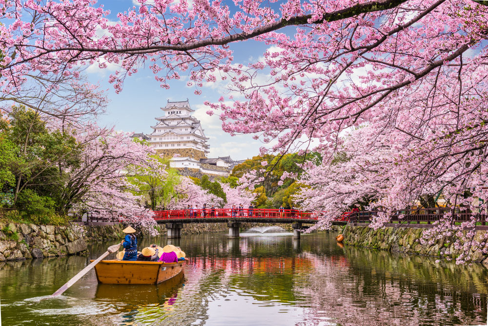 GALERIE FOTO - Cele mai frumoase imagini cu cireșii înfloriți din Japonia. În acest an copacii au înflorit mai devreme
