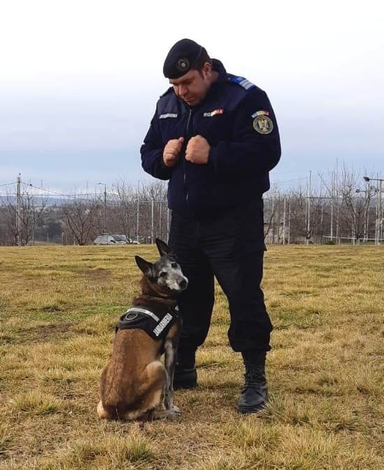 Câine de luptă, adoptat de către un jandarm
