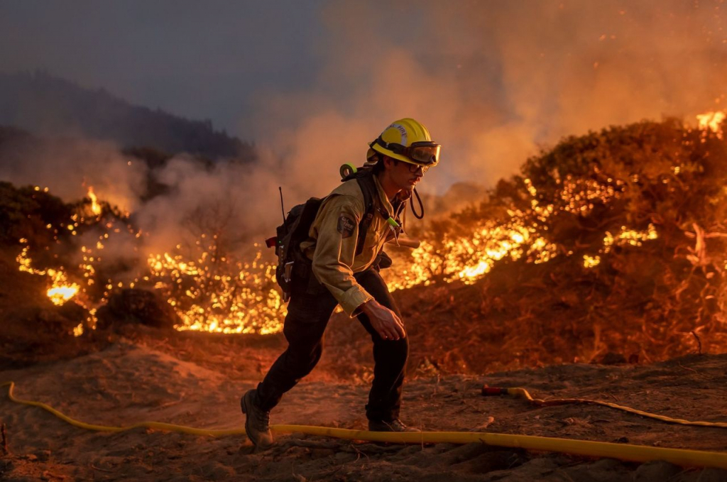 Un incendiu a mistuit, în câteva ore, 200 de hectare de culturi