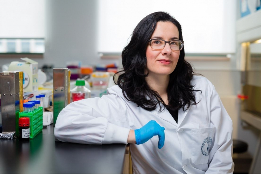  Inimă artificială, creată într-un laborator din Toronto