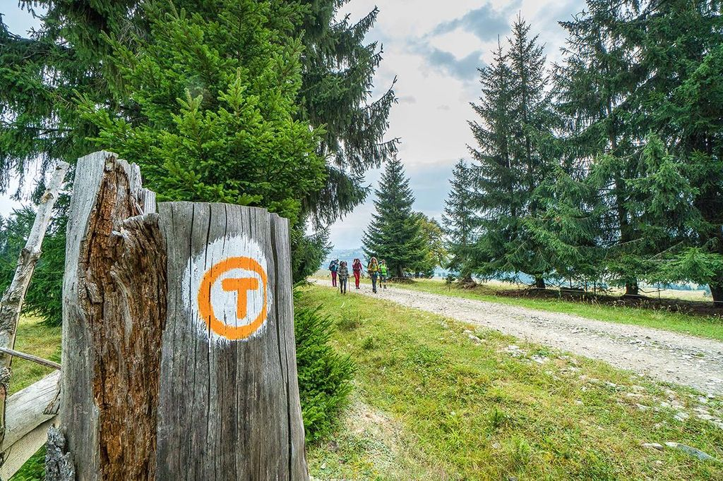 Tibi Ușeriu, pregătiri pentru primul maraton de pe traseul Via Transilvanica