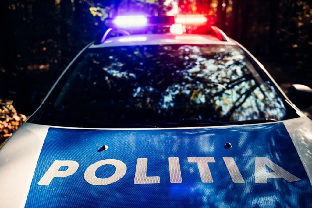 Bărbat reţinut după ce a dat foc la un depozit de furaje: poliţiştii au făcut şi uz de armă