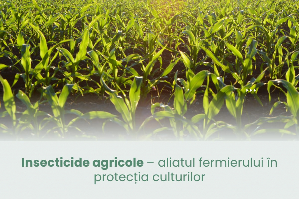 Insecticide agricole – aliatul fermierului în protecția culturilor 