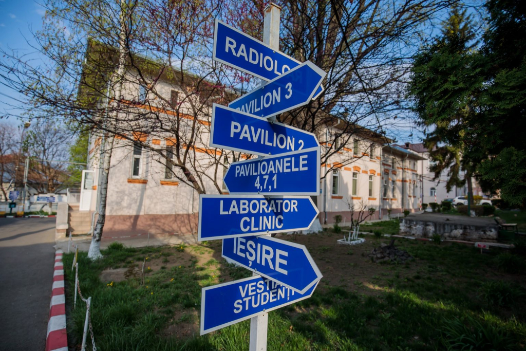 Alertă sanitară la Iași, după ce au fost descoperite trei focare de rabie