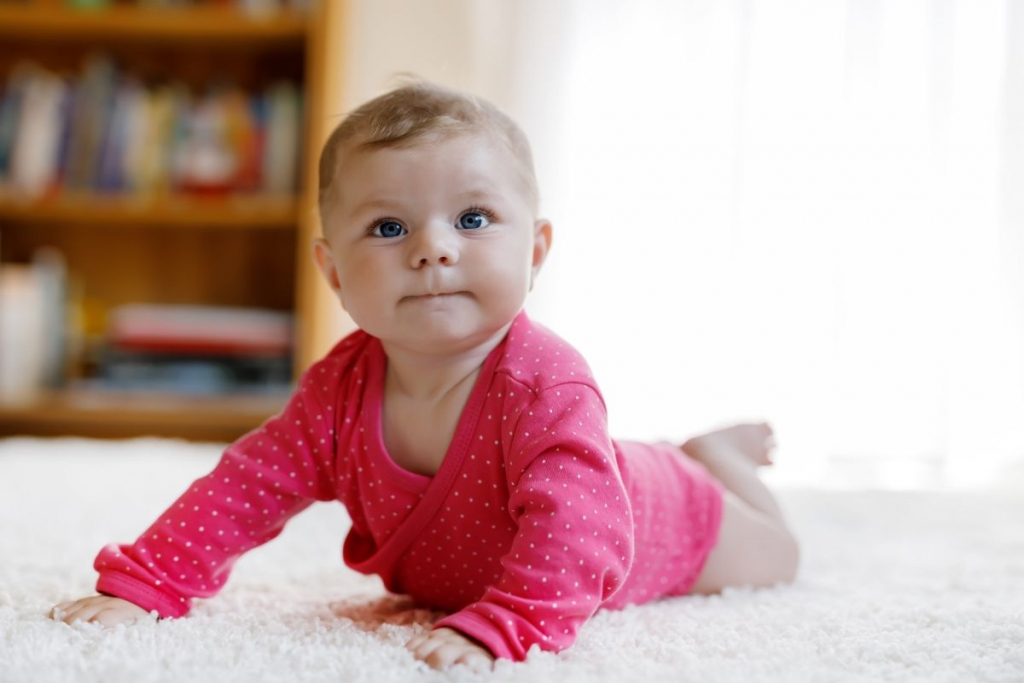 Fiecare copil va avea un arbore al vieţii