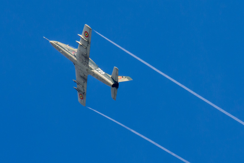 Flori lansate din avion pentru medicii salvatori din Moldova