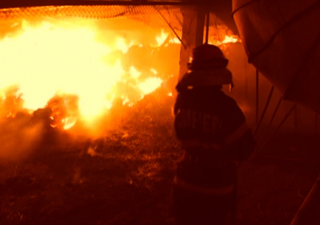 Peste 75 de hectare de vegetaíe au fost distruse de un incendiu la Bacău