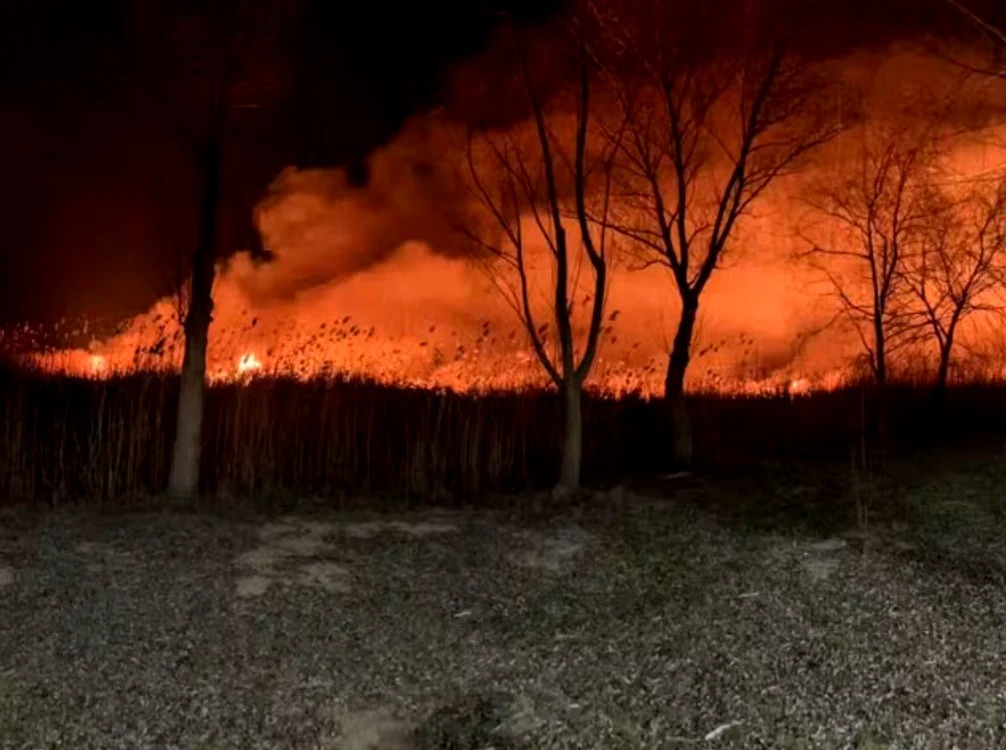 Incendiu puternic de vegetație în Delta Dunării, în zona localității Sulina
