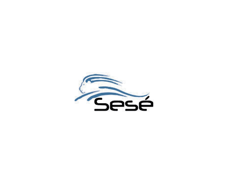 S.C TRANS SESE S.R.L.ANGAJEAZĂ ȘOFERI PROFESIONIȘTI PENTRU COMUNITATE CONTRACT NEDETERMINAT DIRECT LA ANGAJARE 