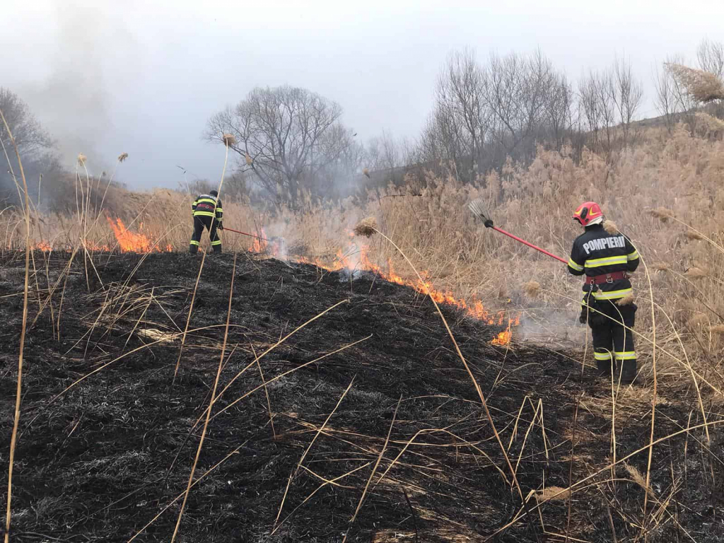 Sancţiuni dure pentru cei care provoacă incendii de vegetaţie