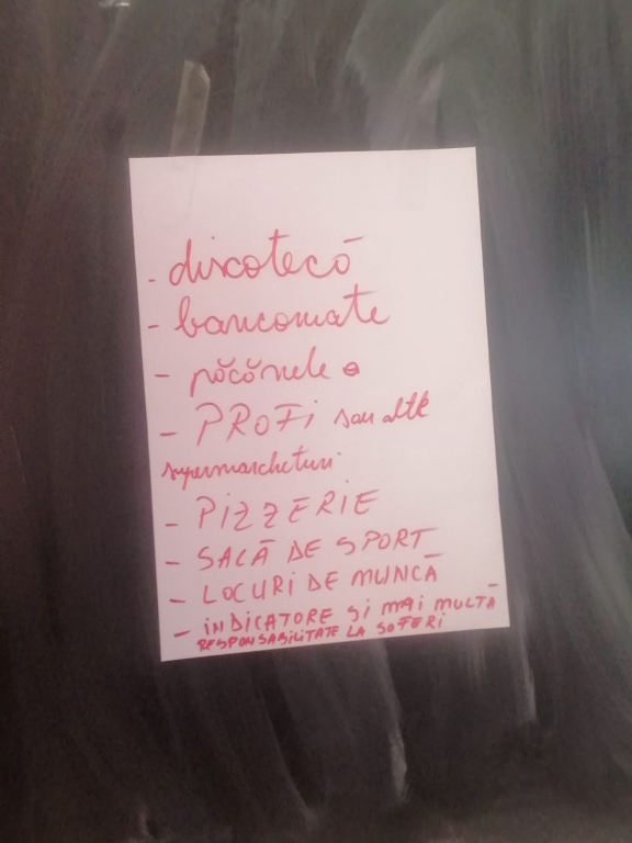  Protecția mediului, principala preocupare a tinerilor din Vetrișoaia