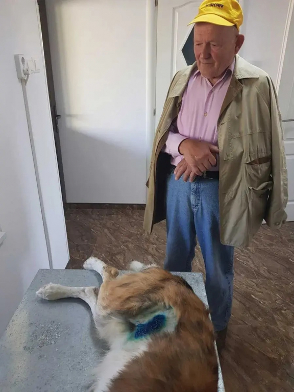 Dragostea pentru animalul său l-a făcut să uite de vârstă. Un bătrân de 80 de ani și-a dus cățelul 8 km cu roaba până la veterinar