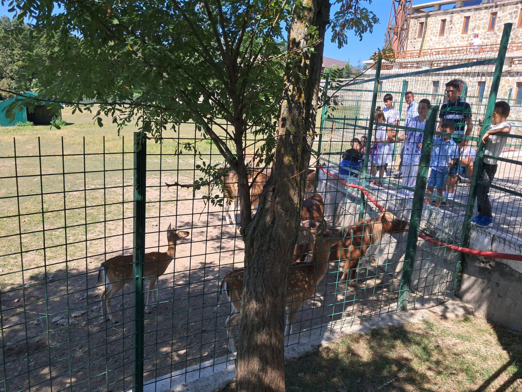 Parcul Zoo de la Hadâmbu, locul unde liniștea întâlnește veselia