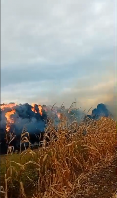 Piromanul din Săbăoani, încătușat