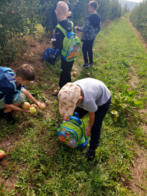 Mere, pere și aventuri în livada de la Răducăneni