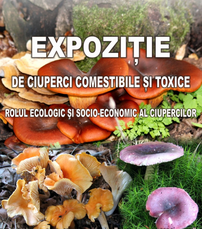Expoziție de ciuperci comestibile şi toxice, în Grădina Botanică