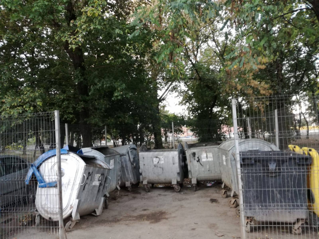 Povestea pubelelor. Deșeurile care trădează clasa socială, educația și viitorul Iașului