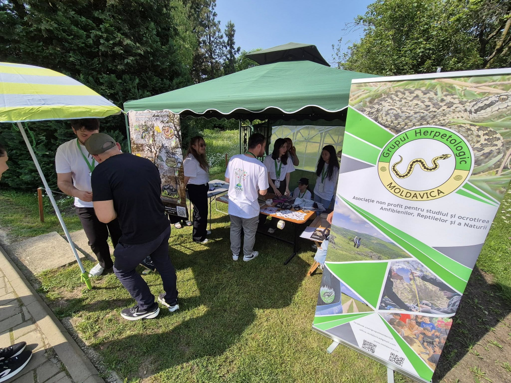 FOTO -- Ziua Copilului, sărbătorită la Grădina Botanică. Experimente, tururi și jocuri științifice