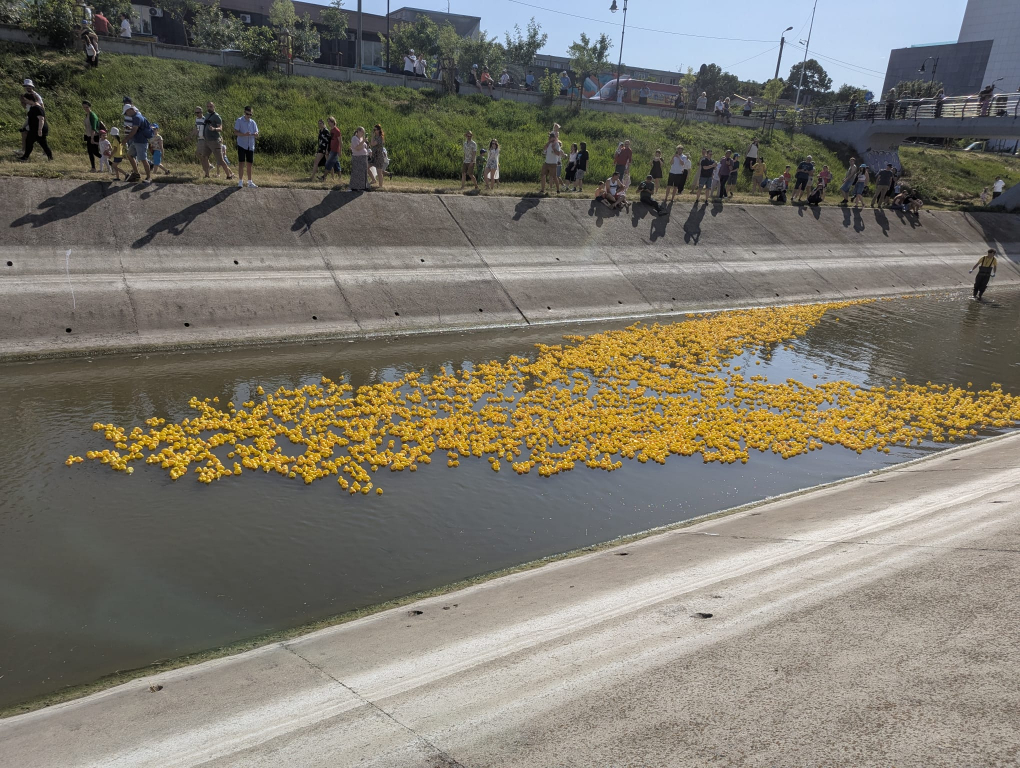 FOTO --  6.000 de rățuște au fost lansate pe Bahlui, în cea mai veselă cursă caritabilă a Iașului