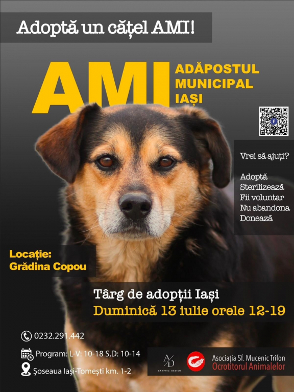 Adoptă un cățel de la padoc! Duminică te așteaptă în Copou!