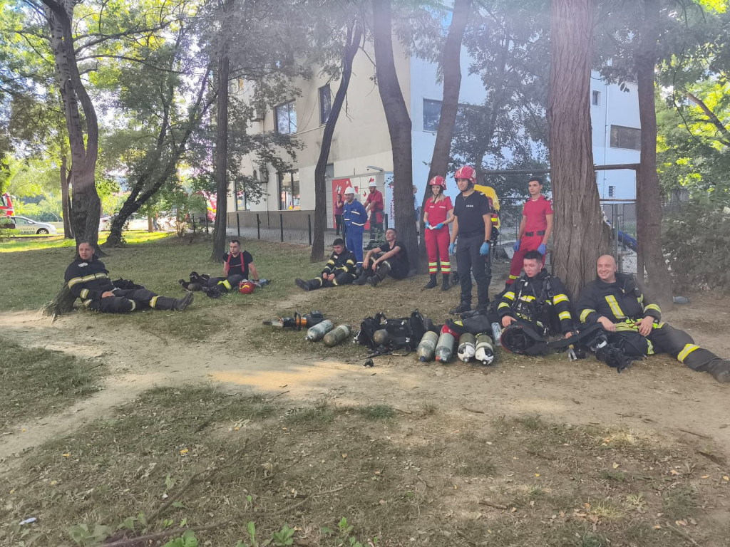 O pisică a provocat un adevărat dezastru, pe bulevardul Ferdinand